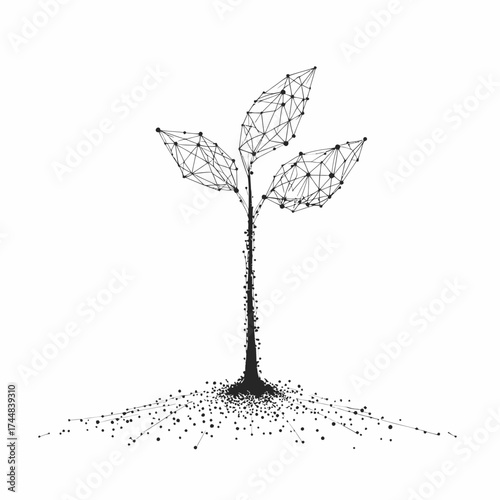 Low poly vector illustration of young seedling plant with three polygonal leaves and connected root network on white background minimalist design black lines and dots