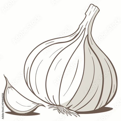 Garlic Elegance: A beautifully illustrated garlic bulb and clove, showcasing the culinary and aesthetic charm of this aromatic staple.