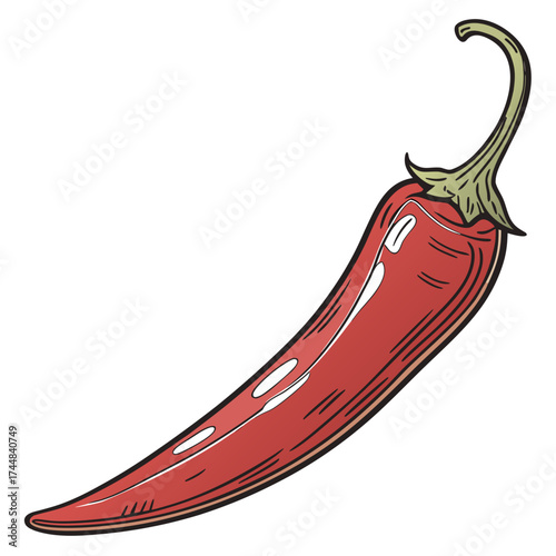 Vibrant Chili Pepper: A vivid depiction of a single, fiery red chili pepper, its smooth surface glistening, ready to infuse dishes with its intense flavor and essence.