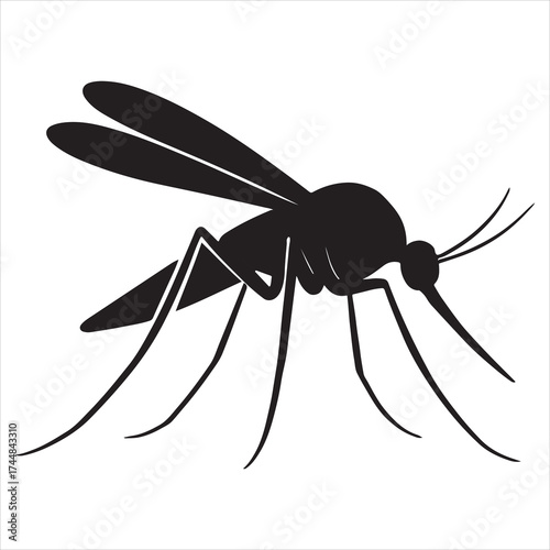 mosquito sucking blood