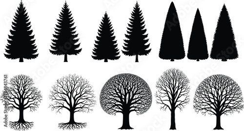 Tree Silhouette Bundle Featuring Diverse Coniferous and Deciduous Shapes, Winter Bare Branches, Pine Variants, Nature Elements for Design and Study