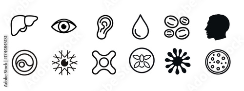 Human organs and cells icons set of liver, eye, ear, drop, cell group, head silhouette, spiral, neuron, molecule, virus, splash and pizza icons in vector format