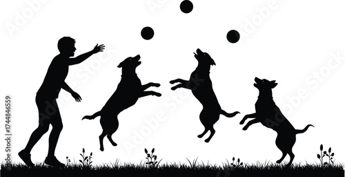 Man playing with dogs silhouette vector, pet activity illustration, jumping dogs catching balls, outdoor fun design for poster, logo, or decoration