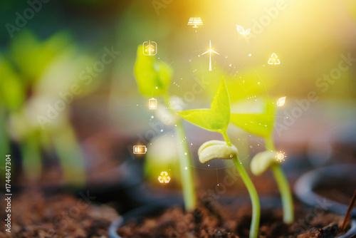 Bild auf Leinwand Vibrant young seedlings emerge from dark soil, sustainability icons solar panel, recycling symbol, representing the integration of clean energy technology and smart agriculture for a green future