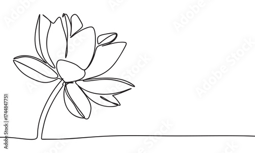 Lotus Flower Line Drawing