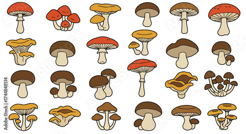 Collection of various cartoon mushrooms in different shapes and colors