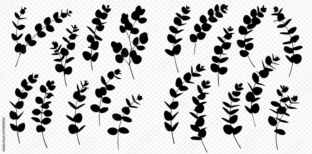 Naklejka premium A collection of black silhouette eucalyptus branches and leaves, isolated on a transparent background for design elements.