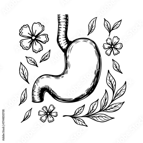 Sketchy stomach illustration with floral and leaf embellishments symbolizing health and well being