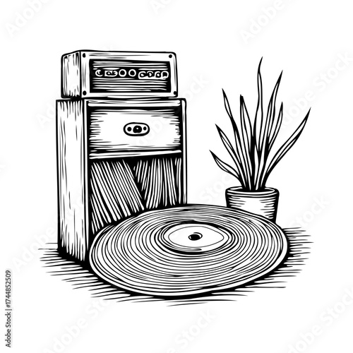Vintage listening room with classic record player amplifier and potted plant creating cozy music