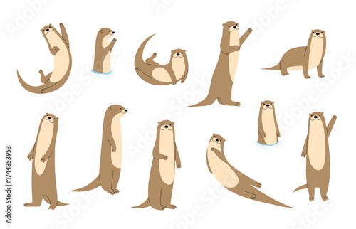 Otter 1 cute on a White background, vector illustration.