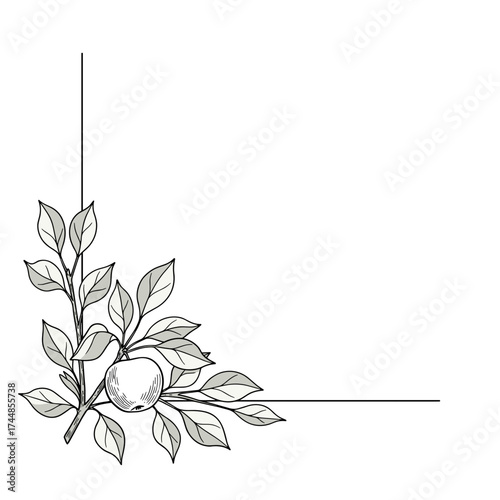 Corner page divider with hand-drawn apple branch and leaves sketch