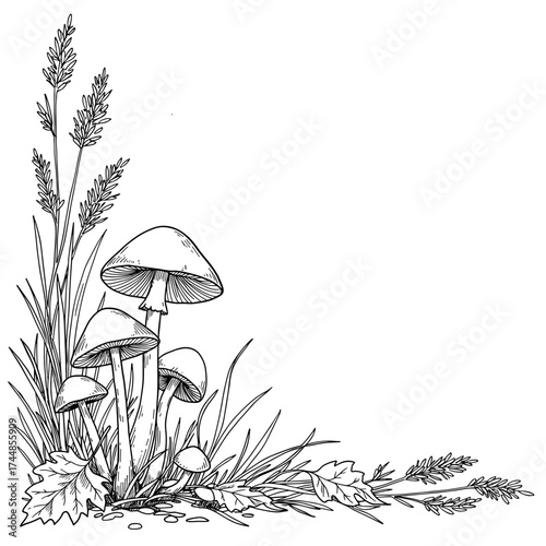 Forest mushrooms and leaves sketch divider