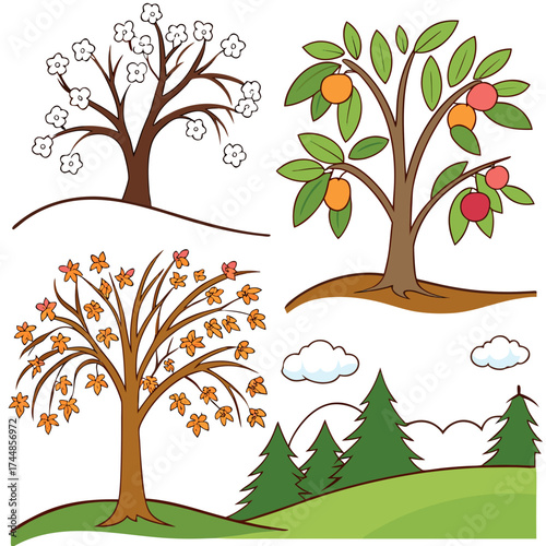 Four seasons tree illustrations showing spring blossom fruit bearing autumn leaves and evergreen forest landscape