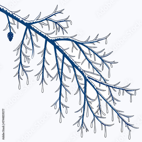 Stylized illustration of a dark blue pine branch covered in snow and ice with small icicles hanging from the needles