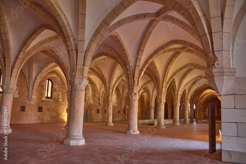 Gothic novice dormitory at Alcobaca Monastery with stone columns and a high vault in a historic Portuguese setting