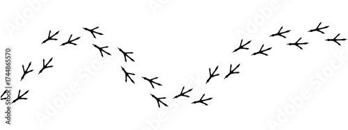 Сhicken trail, bird tracks footprints, path isolated, paw print, animal tracks. Paws, chicken tracks, diagonal path of chicken tracks, vector black silhouettes. Scatter seamless pattern in eps 10.