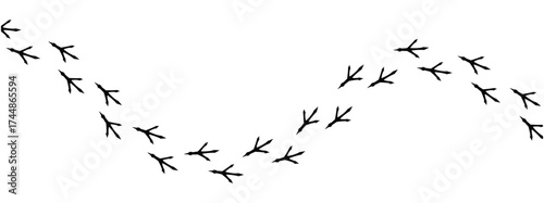 Сhicken trail, bird tracks footprints, path isolated, paw print, animal tracks. Paws, chicken tracks, diagonal path of chicken tracks, vector black silhouettes. Scatter seamless pattern in eps 10.