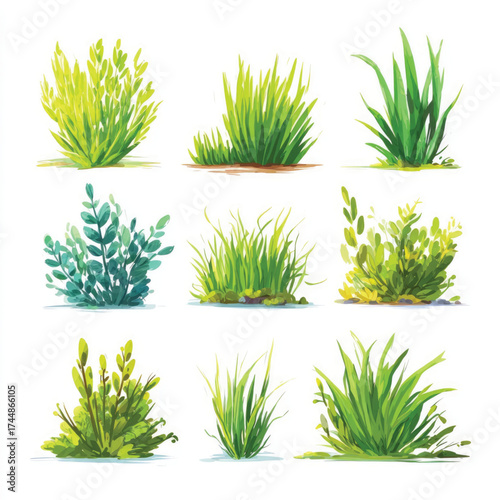 Set of grass illustrations on white background