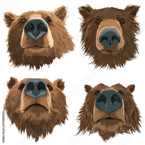 Grizzly bear nose and mouth illustration set
