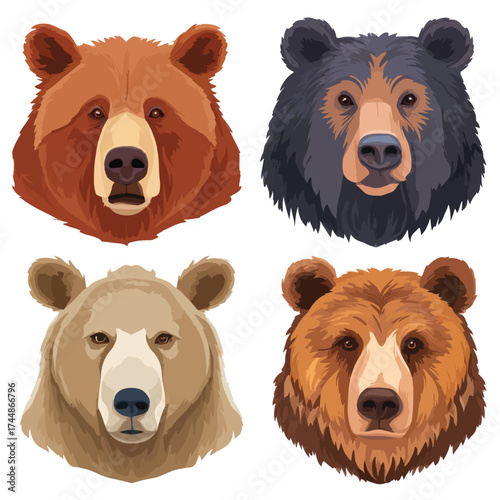 Simple grizzly bear face illustration