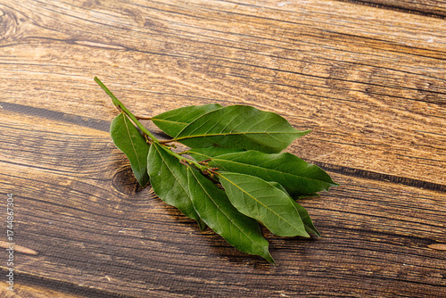 Fresh green laurel leves for cooking