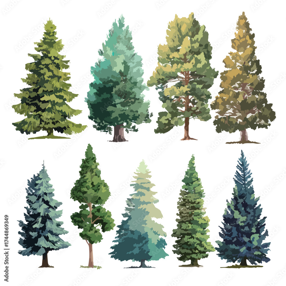 Fototapeta premium Isolated pine tree illustration on white background
