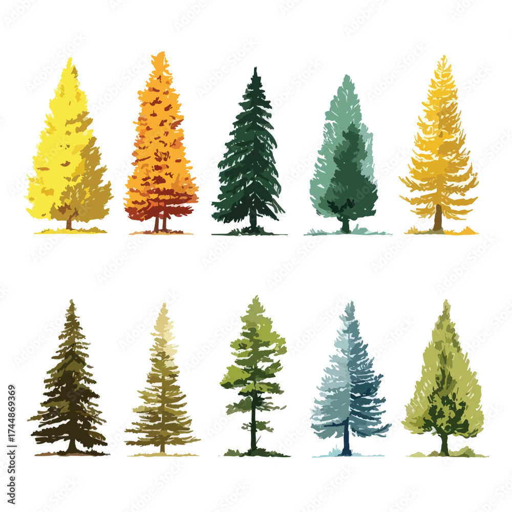 Obraz premium Single pine tree illustration on white background
