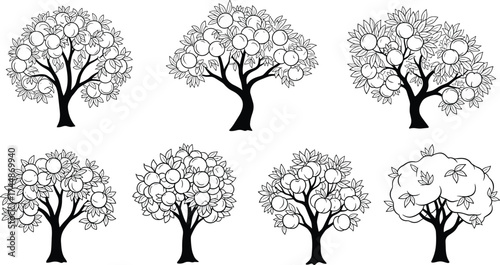 Fruit tree illustration, black and white drawing, orchard design element, botanical sketch art, decorative foliage artwork, agricultural nature background, educational graphic