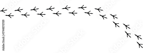 Сhicken trail, bird tracks footprints, path isolated, paw print, animal tracks. Paws, chicken tracks, diagonal path of chicken tracks, vector black silhouettes. Scatter seamless pattern in eps 10.