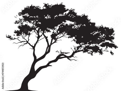 Bent Branch Tree Silhouette Vector Illustration Solid Black Art