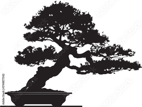 Chinese Bonsai Tree Silhouette Vector Illustration Solid Black