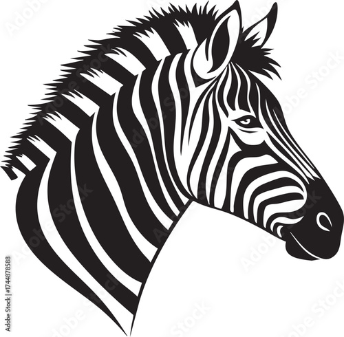 Zebra head vector illustration isolated on white background