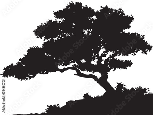 Majestic Cliffside Oak Tree With Strong Roots Vector Art