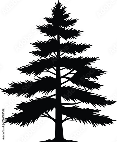 Conifer tree silhouette vector illustration, pine fir evergreen shape, nature icon design, cad drawing flat vector illustration, minimal black artwork