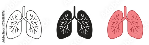 Lungs icon set. Healthy and diseased lungs icon symbol in line and flat style. Medicals care ,vector illustration.