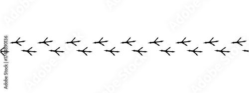 Сhicken trail, bird tracks footprints, path isolated, paw print, animal tracks. Paws, chicken tracks, diagonal path of chicken tracks, vector black silhouettes. Scatter seamless pattern in eps 10.