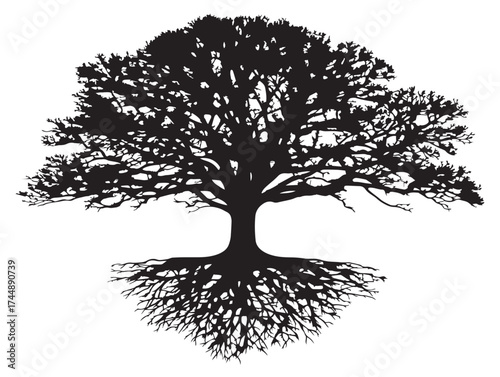 Symmetrical Double Tree With Roots In Solid Black