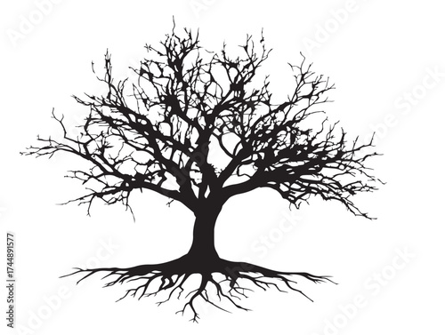 Barren Dry Tree Silhouette With Twisted Exposed Roots