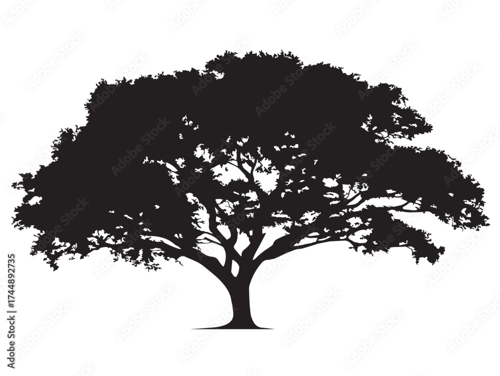 Fototapeta premium Beautiful Elm Tree With Delicate Branches Solid Black Illustration