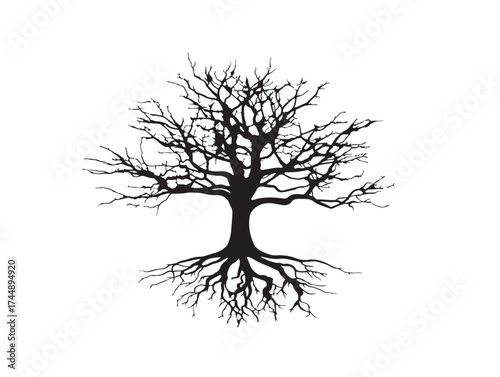 Ethereal Tree With Delicate Roots And Wispy Branches Silhouette