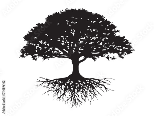 Unusual Exotic Tree Species In A Clean Black Vector Illustration