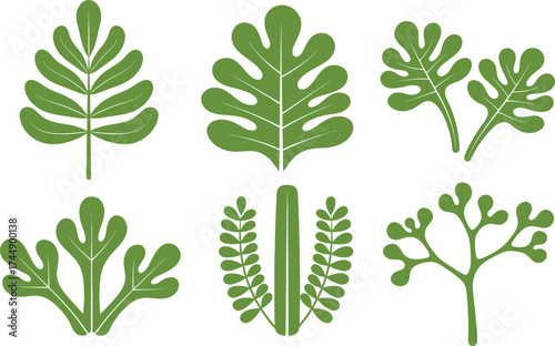 Vector illustrations of green leaves botanical foliage leaf designs