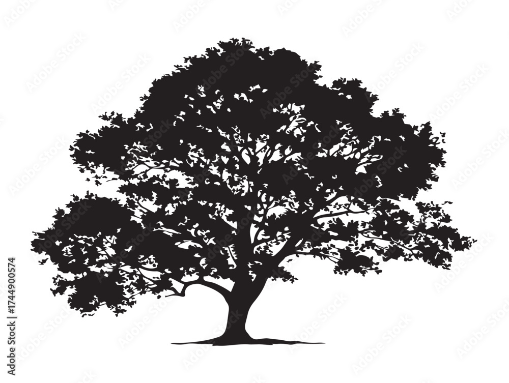 Fototapeta premium Forest Maple Tree With Classic Leaf Shape Black Silhouette Art