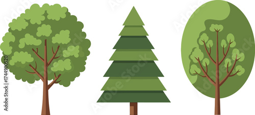 Vector trees illustration set different types isolated on white