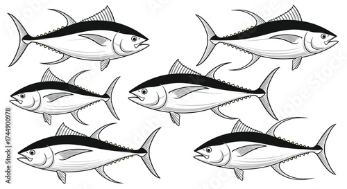 A school of tuna fish swimming in the ocean.