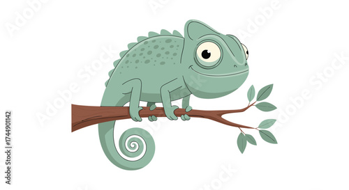 A cute chameleon sits on a tree branch and looks curious.