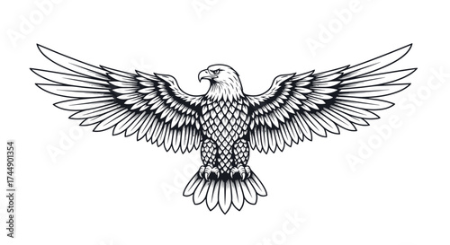 Powerful eagle with spread wings in detailed sketch art style.