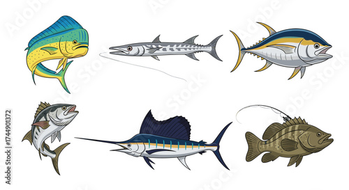 Collection of saltwater game fish commonly found in ocean waters.