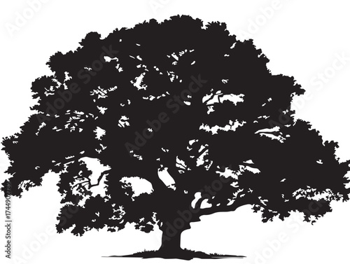 Durable Oak Tree With Deep Roots Black And White Vector Art