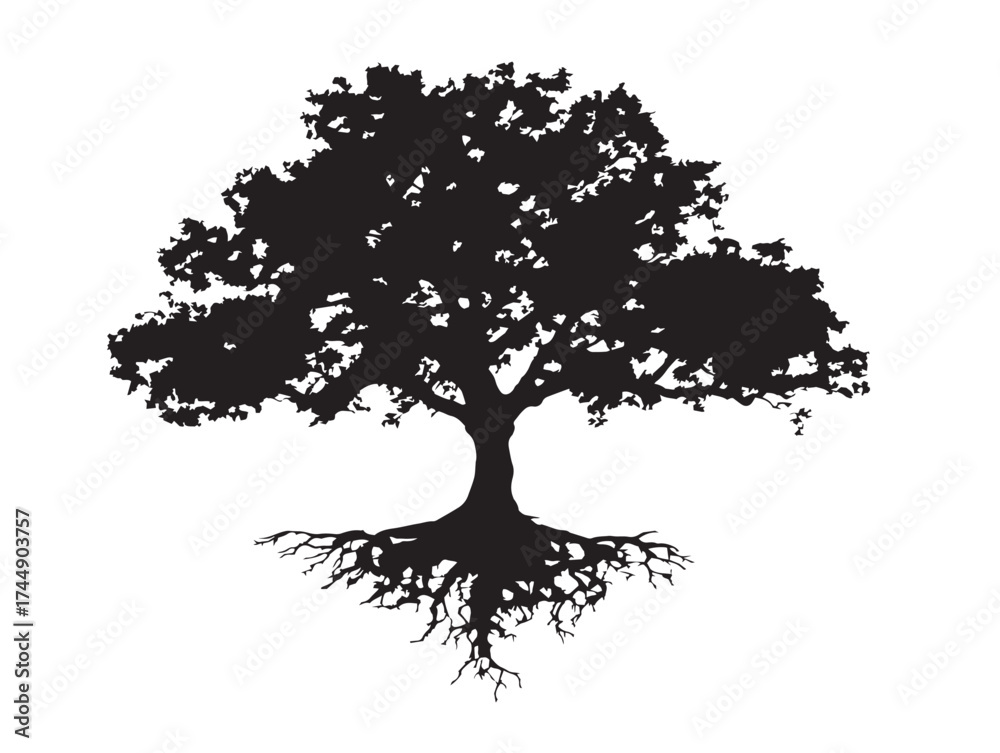 Fototapeta premium Forest Tree With Extensive And Deep Root System Black Silhouette